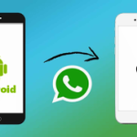 How to Transfer WhatsApp Chats from Android to iPhone (Latest Information)