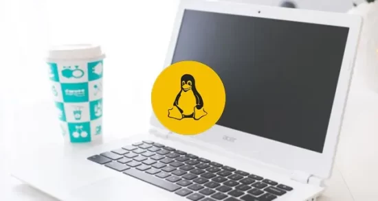 How to Sandbox Non-trusted Apps in Linux Systems